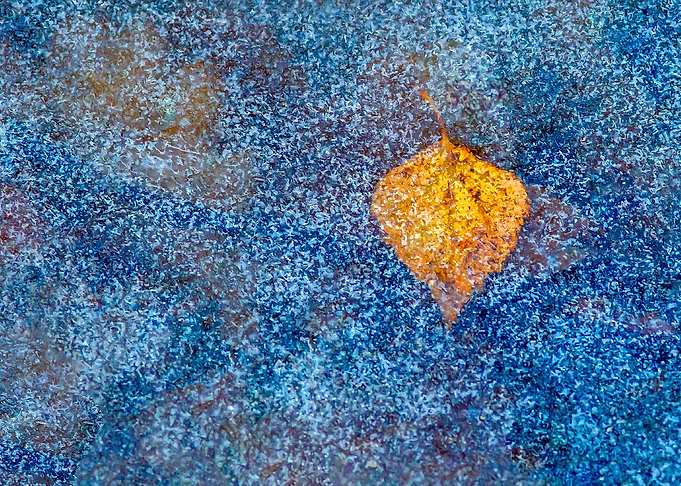 Fresh Ice