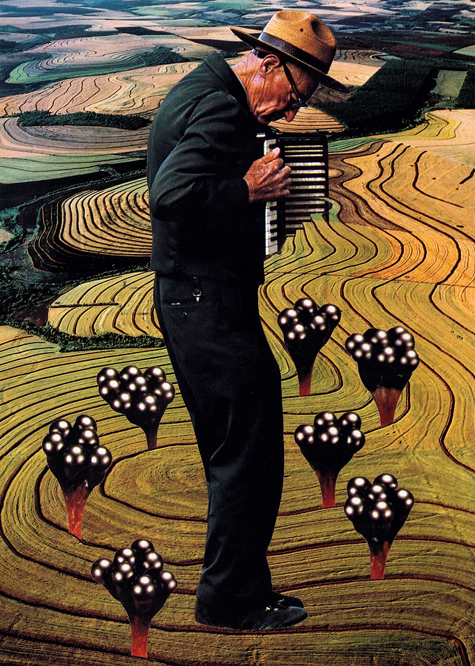 Accordion [collage]
