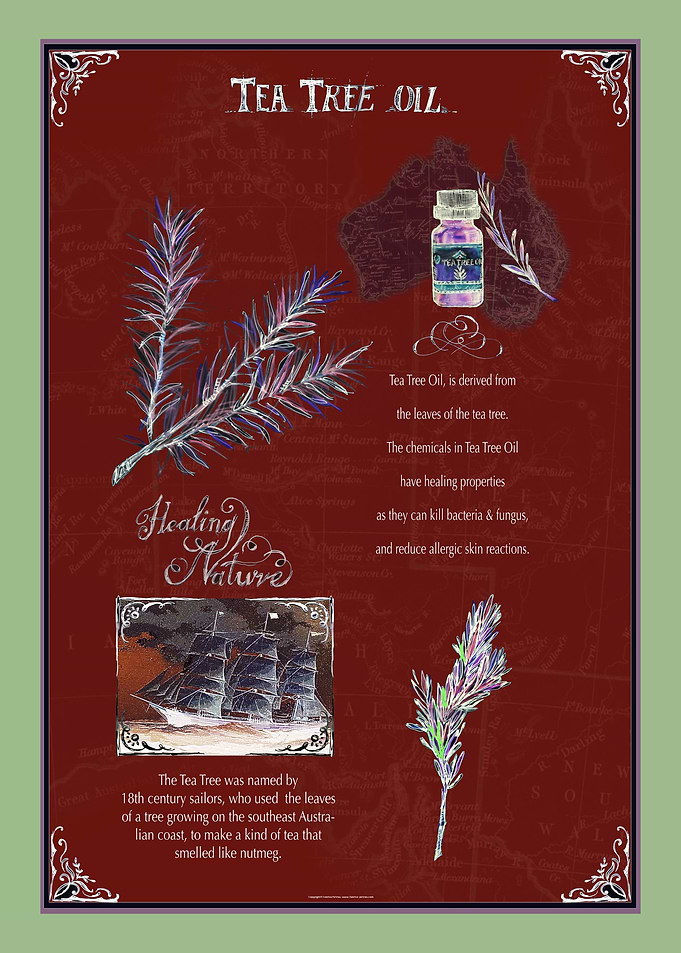 Tea Tree Oil 1