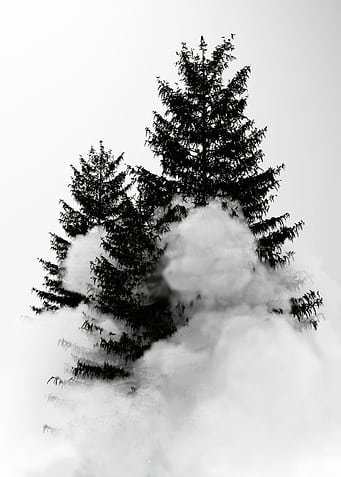 Misty magic