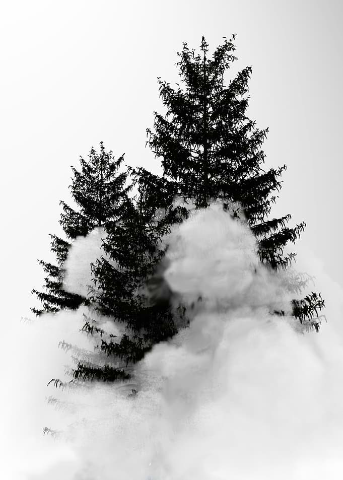 Misty magic
