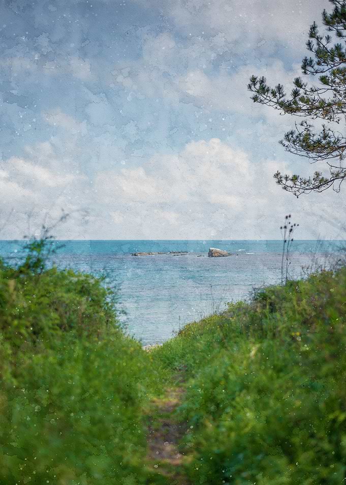 Path