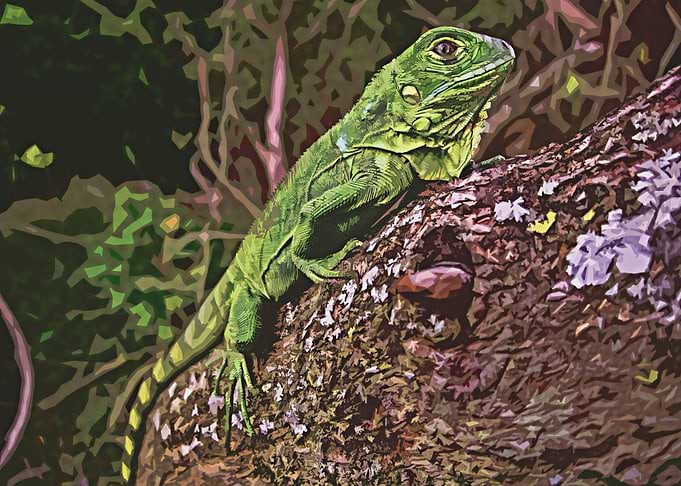 Green Lizard