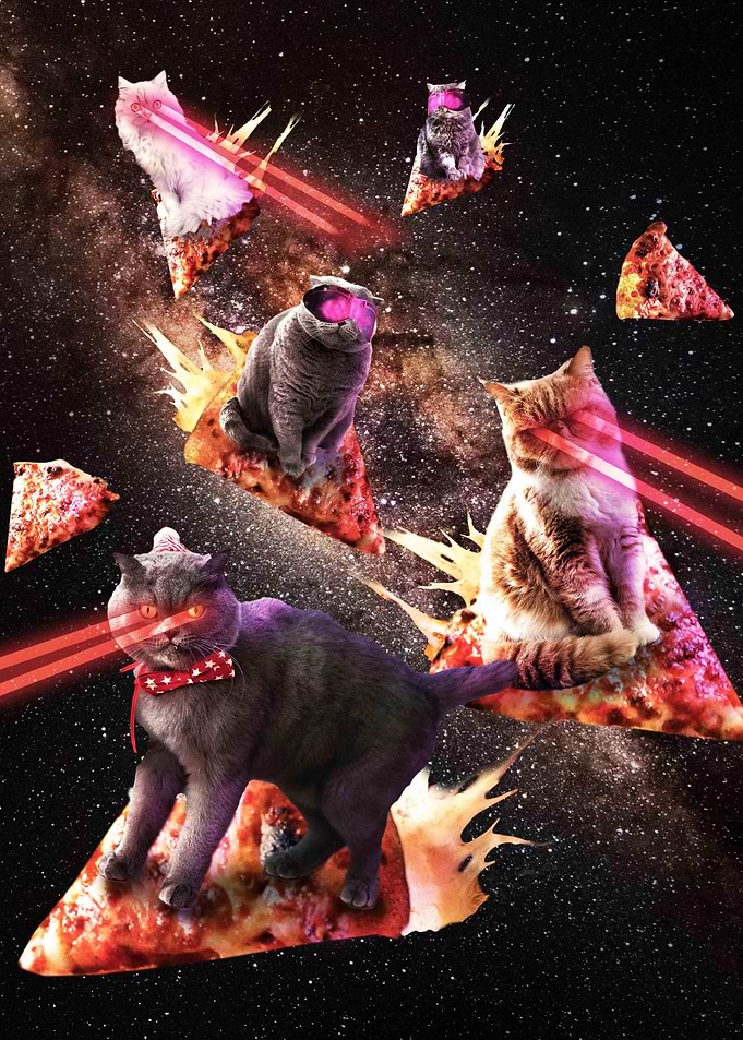 Galaxy Laser Pizza Cat