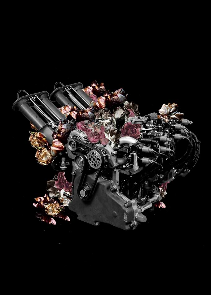 Engine of Life
