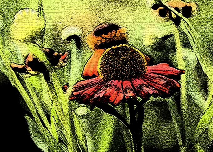 Natural Beauty in Artistic