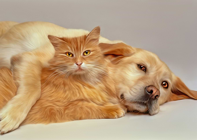 Best Friend