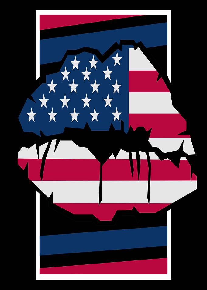 USA Flags