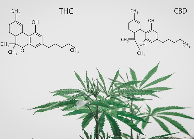 Formulation of the CBD
