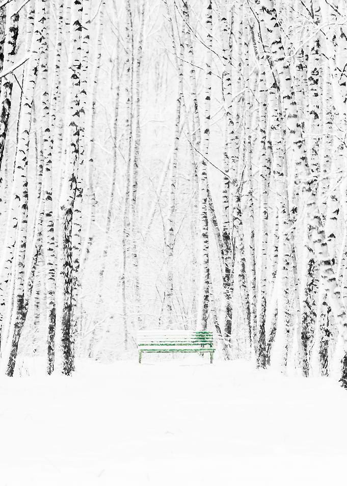 White Forest Green Bench