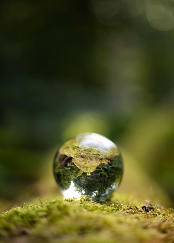 New Forest Sphere