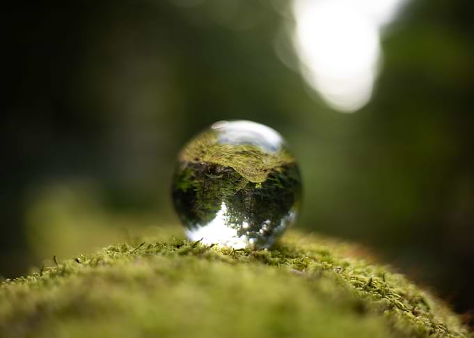 New Forest Sphere