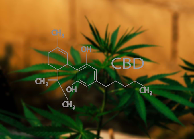 CBD Structural Formula