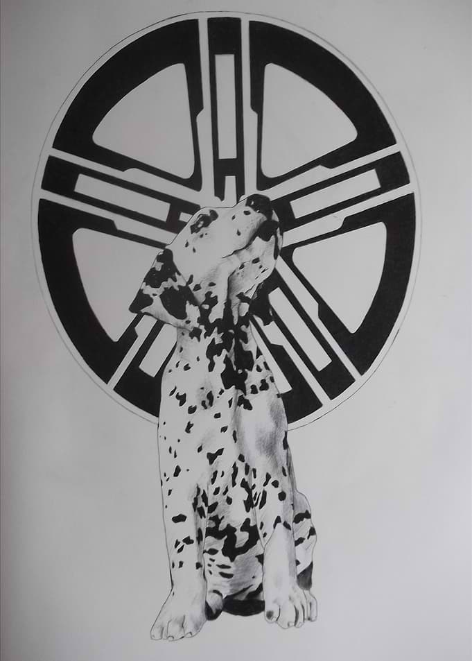 Dalmatian with wheel rim