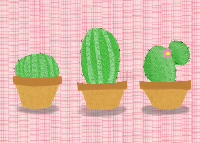3 Little Cacti