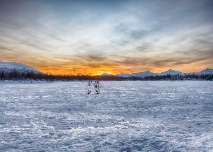 Winter Landscape