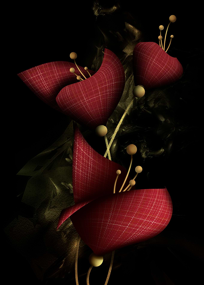 Poppies