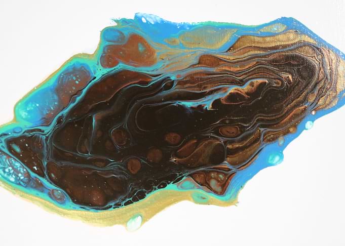 Agatized Coral Fossil