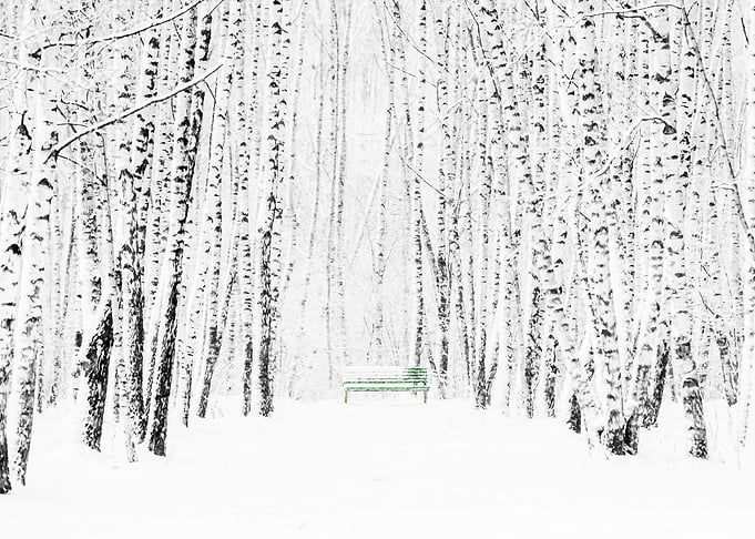 White Snow Green Bench