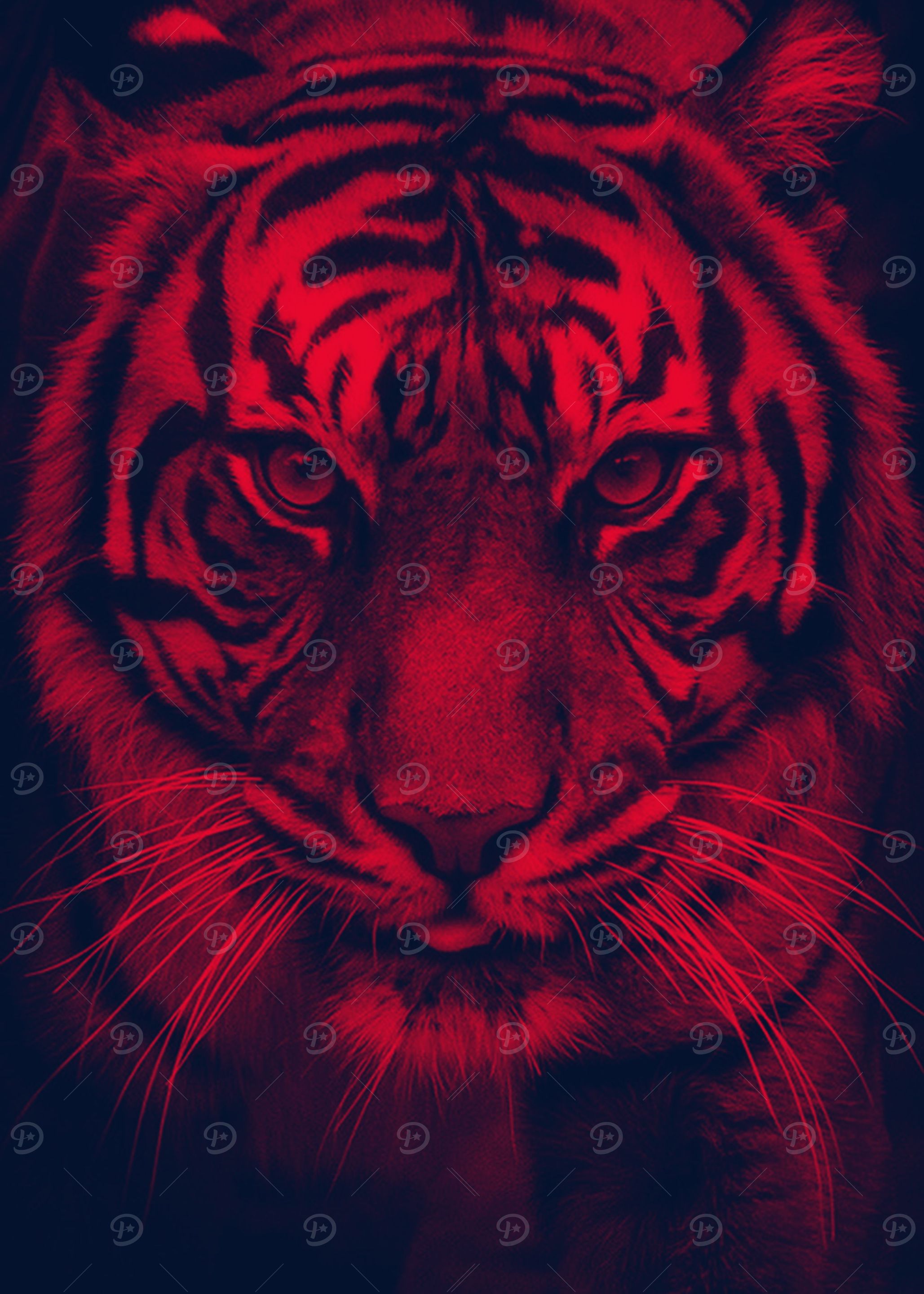TIGER 2