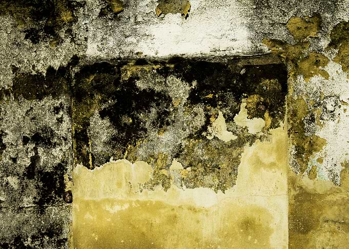 Grunge Wall