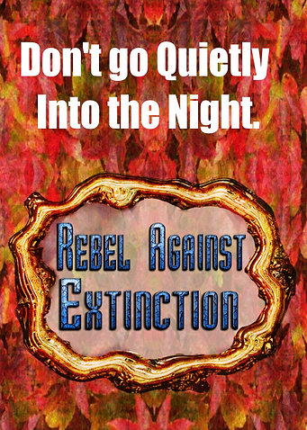 Rebel Now