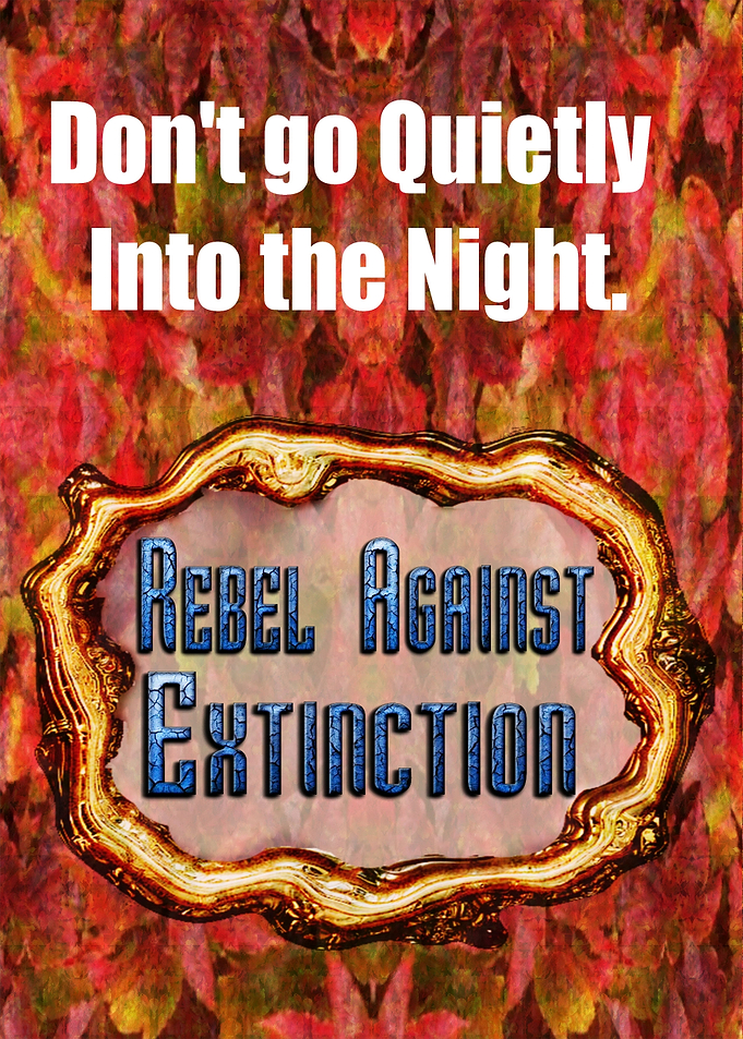 Rebel Now