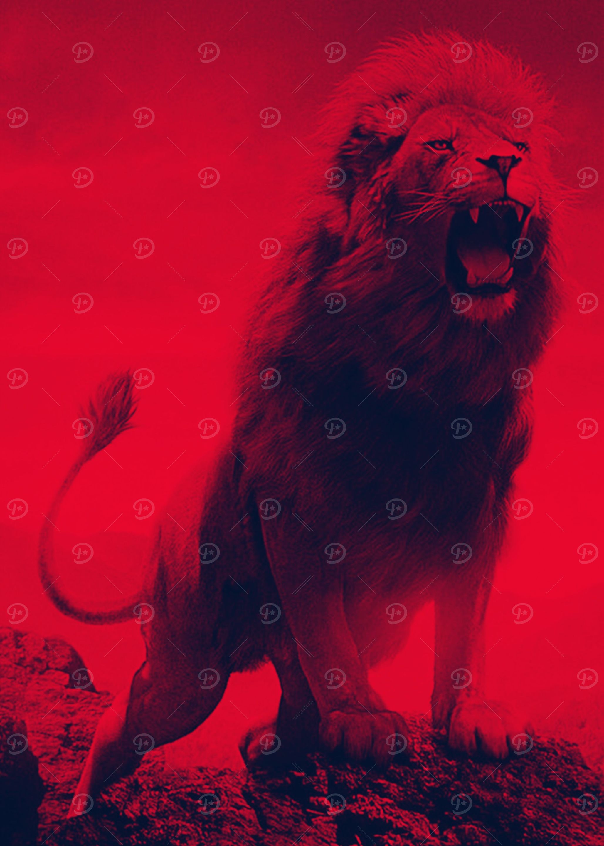 LION 2