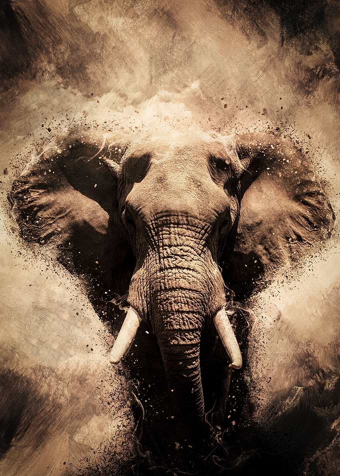 Standing Elephant