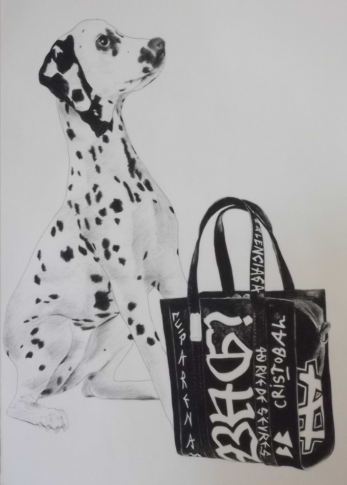 Dalmatian with bag
