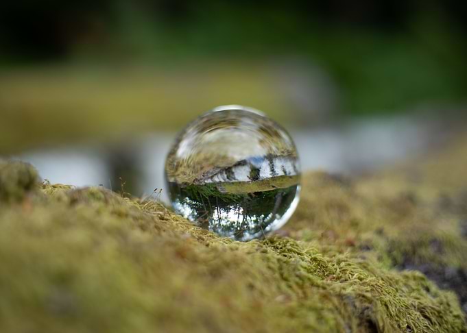 New Forest Sphere