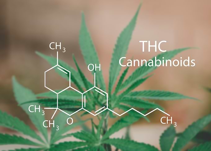 CBD Structural Formula