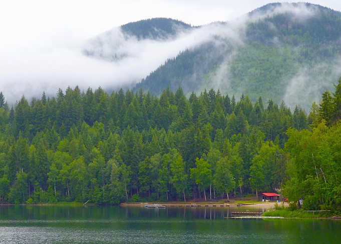 Forest Lake