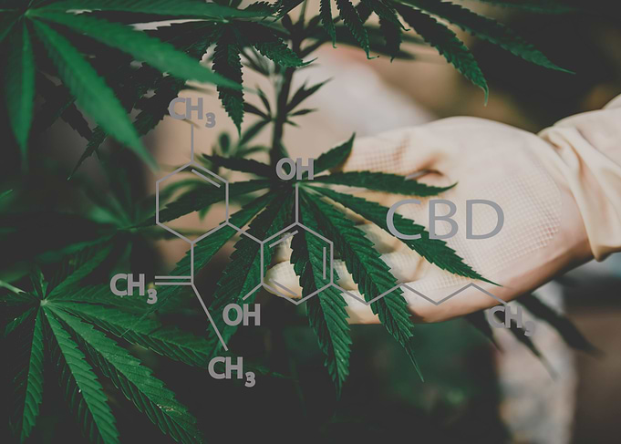 CBD Structural Formula