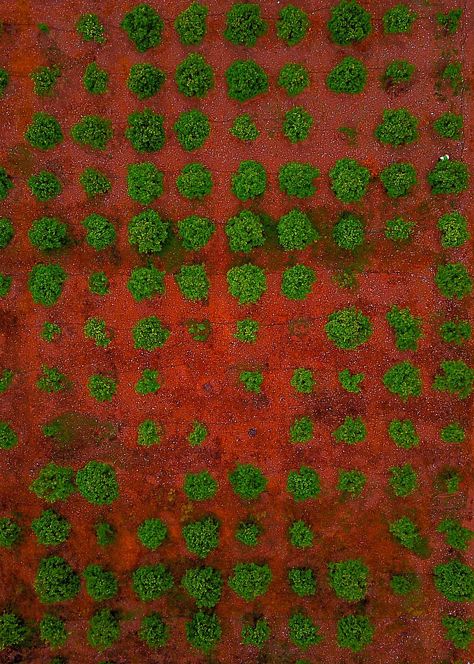 World From Above