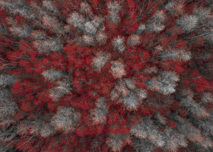 World From Above