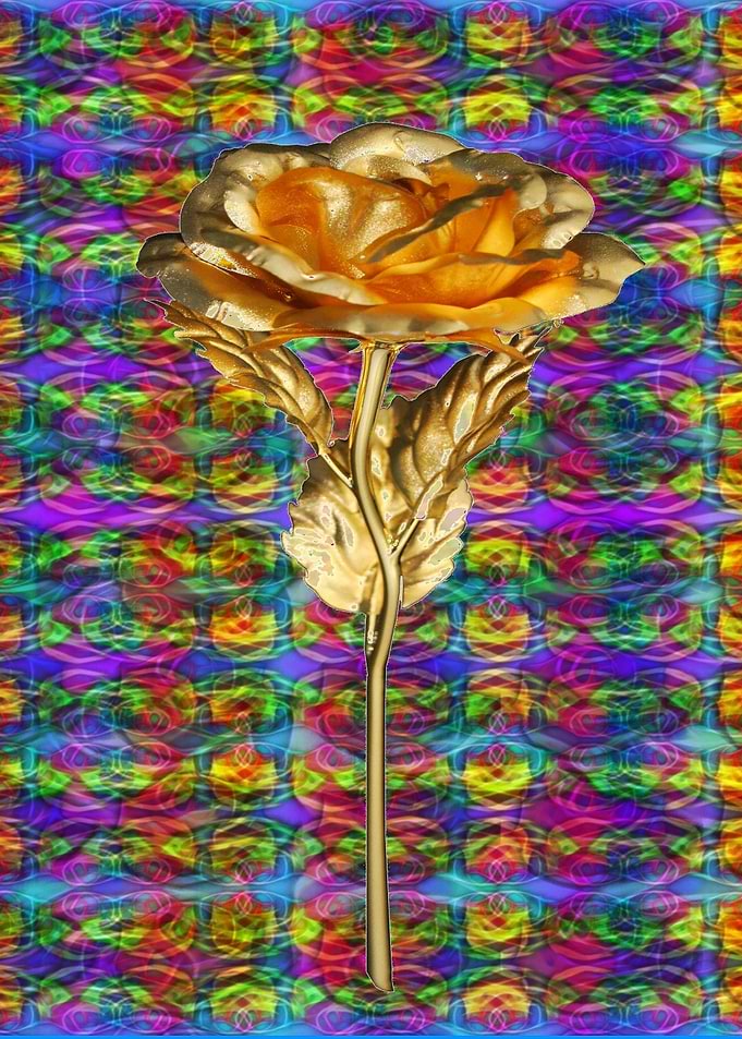 A Golden Rose
