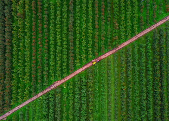 World From Above