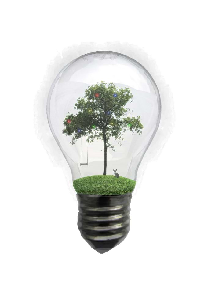 Spring in a bulb