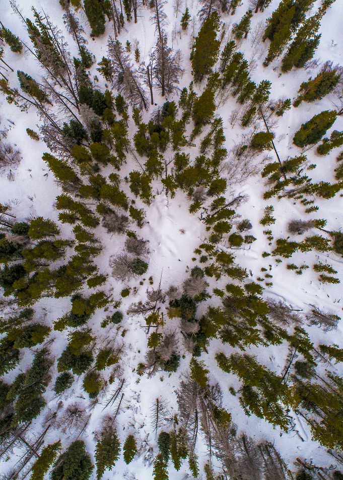 World From Above