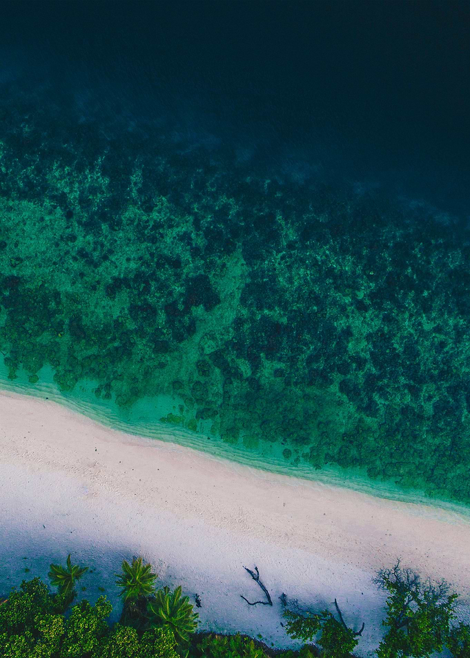 World From Above