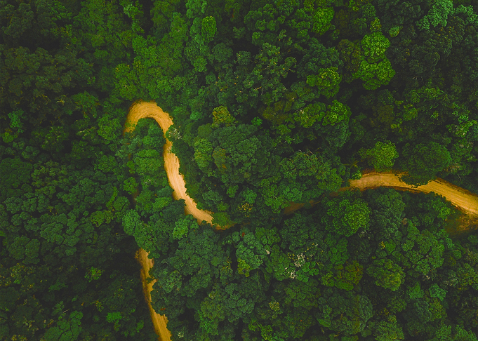 World From Above