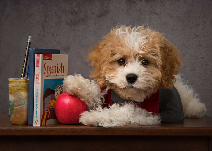 Back to School 2