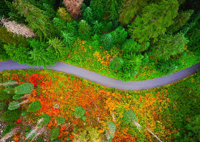 World From Above