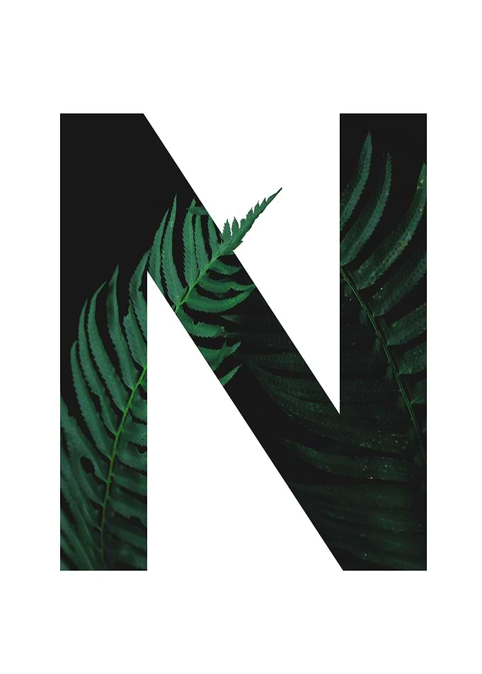 Letter series N
