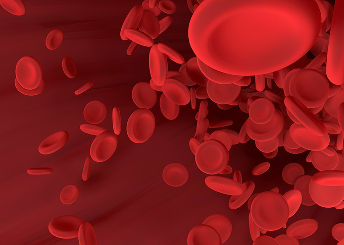 Red blood cell