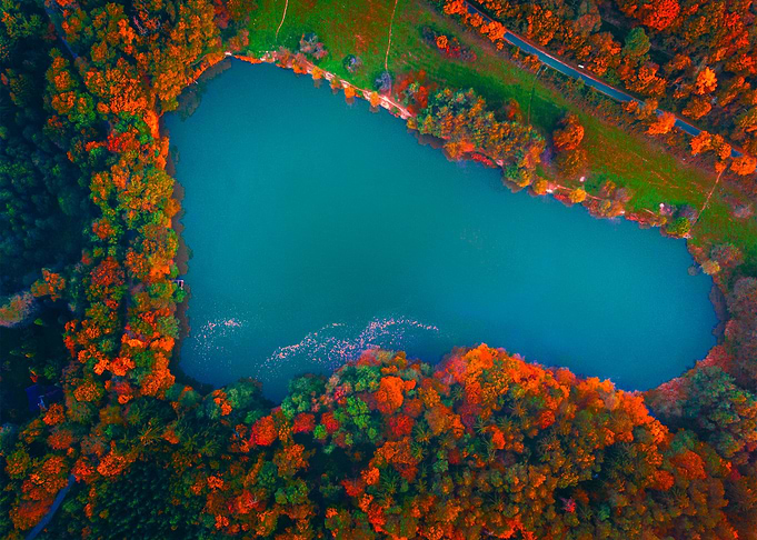 World From Above