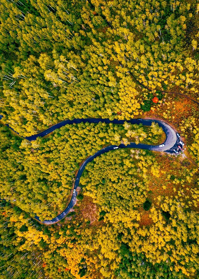 World From Above