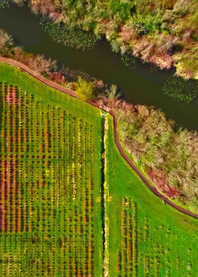 World From Above