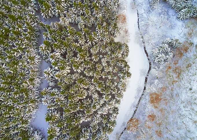 World From Above